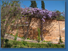 Generalife - Alhambra, Granada