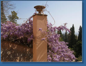 Generalife - Alhambra, Granada