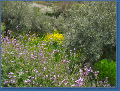 Los Cahorros de Monachil - Andalusien, ES