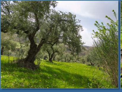 Los Cahorros de Monachil - Andalusien, ES