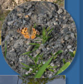 Los Cahorros de Monachil - Andalusien, ES