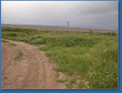 Blick auf die Sierra de Baza, Spanien