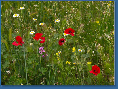 Blick auf die Sierra de Baza, Spanien