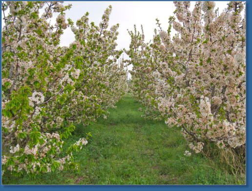 Blick auf die Sierra de Baza, Spanien