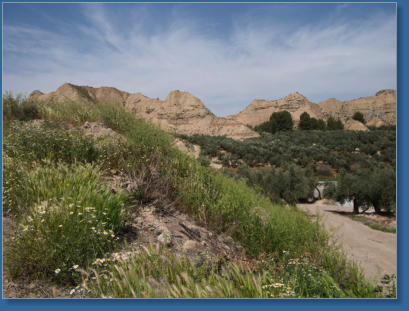 El Olivar - Andalusien, Spanien