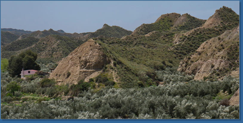 El Olivar - Andalusien, Spanien