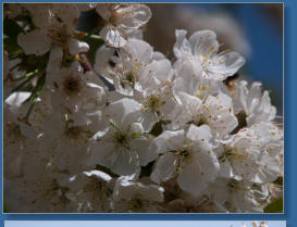 Kirchplantage vor den Toren von Bácor, Spanien