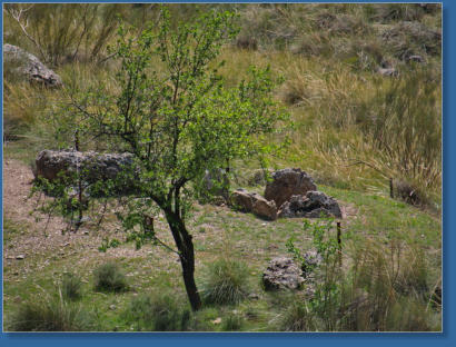 Megalitische Gräber bei Gorafe, Spanien