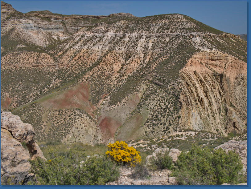 Discordancia Angular