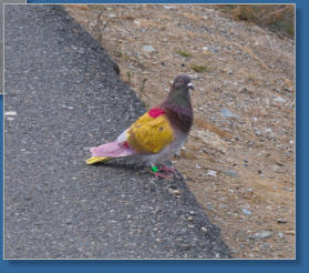 Tabernas, Andalusien