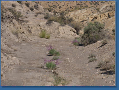 Die Wüste von Tabernas, Andalusien