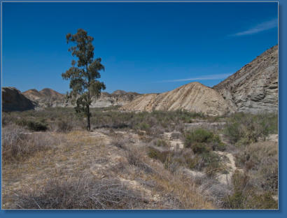 Die Wüste von Tabernas, Andalusien