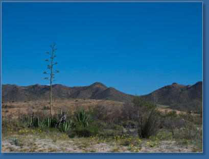 Playa de Los Genoveses,Parque Natural Cabo de Gata-Níjar, Andalusien
