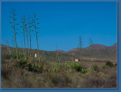 Playa de Los Genoveses,Parque Natural Cabo de Gata-Níjar, Andalusien