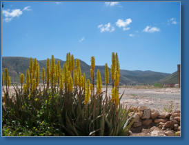 Albaricoques, Spanien