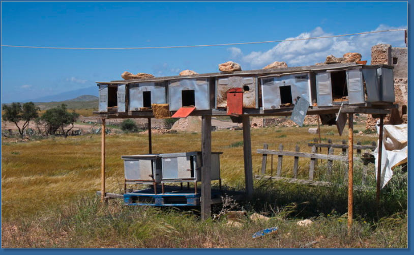 Albaricoques, Spanien