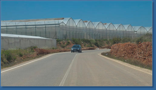 Plantagen in Andalusien
