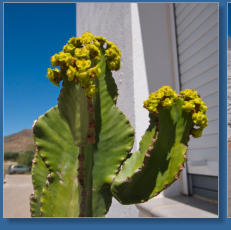 Rodalquilar, Andalusien
