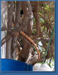 Las Negras, Andalusien