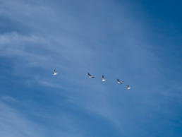 Am Strand von Capo de Gata, Andalusien