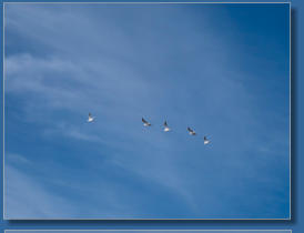 Am Strand von Capo de Gata, Andalusien