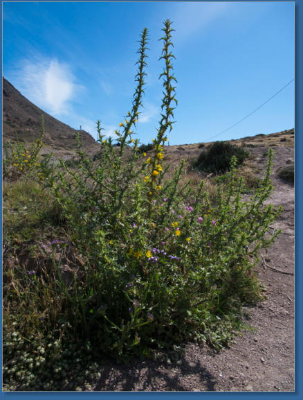Capo de Gata, Andalusien