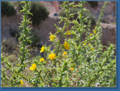 Capo de Gata, Andalusien