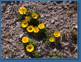 Capo de Gata, Andalusien
