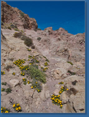 Capo de Gata, Andalusien