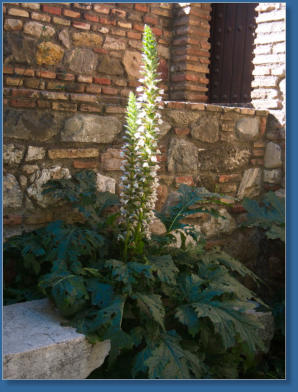 Alcazaba de Málaga, Spanien