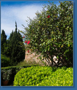 Alcazaba de Málaga, Spanien
