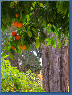 Daraxa-Gärten - Nasridische Paläste - Alhambra, Malaga