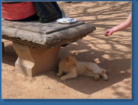 Platz vor der Alcazaba, Granada, Spanien