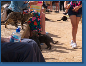 Platz vor der Alcazaba, Granada, Spanien