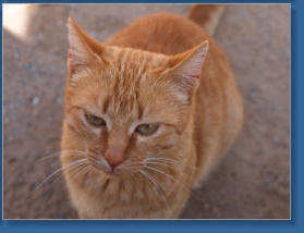Platz vor der Alcazaba, Granada, Spanien