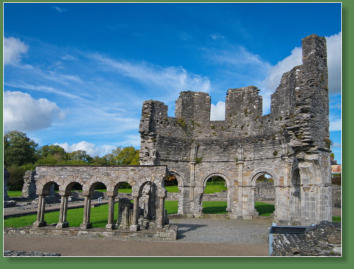 Mellifont Abbey, IR