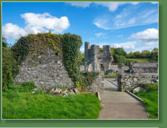 Mellifont Abbey, IR