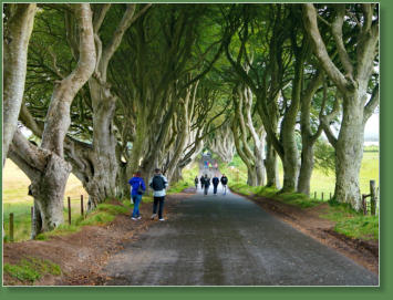 Dark Hedges, Nordirland