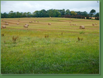 Dark Hedges, Nordirland