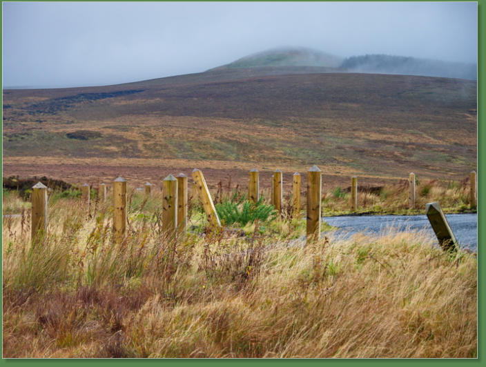 Altarichard und Breen Forrest, Nordirland