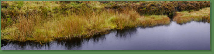 Altarichard und Breen Forrest, Nordirland