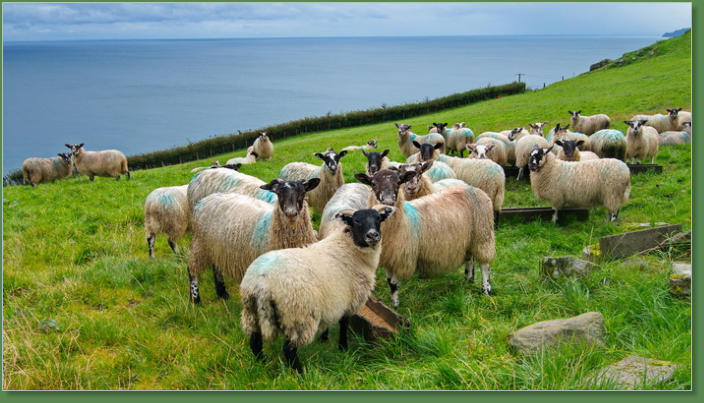 Torr Head Sceenic Road, Nordirland