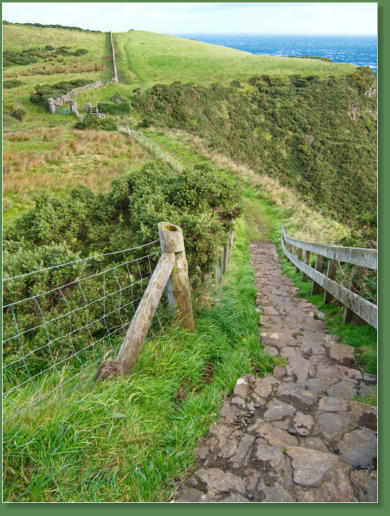 Giants Causeway - Bushmills, Nordirland