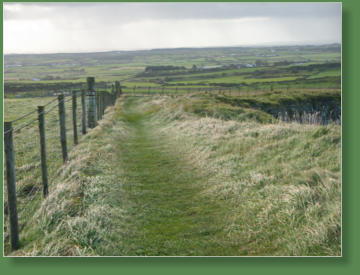 Giants Causeway - Bushmills, Nordirland