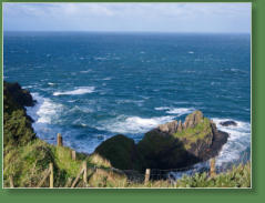 Giants Causeway - Bushmills, Nordirland