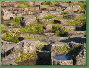 Giants Causeway - Bushmills, Nordirland