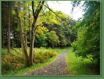Downhill Demesne, Nordirland