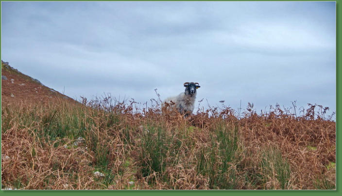 Glen Head Tower Loop, Irland
