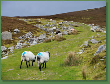 Glen Head Tower Loop, Irland