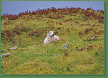 Glen Head Tower Loop, Irland
